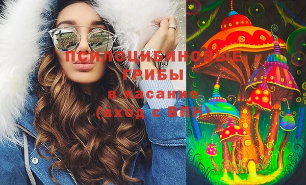 а пвп мука Абаза