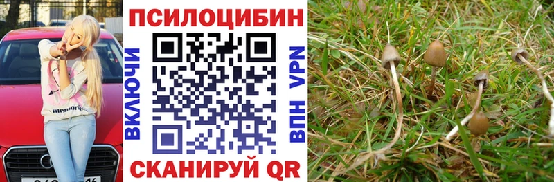 Псилоцибиновые грибы мухоморы  хочу   дарк нет формула  Дятьково 