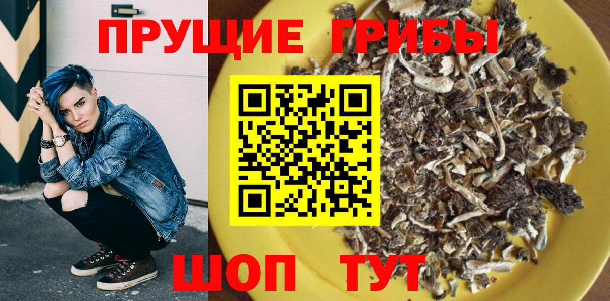 Галлюциногенные грибы Cubensis Дятьково