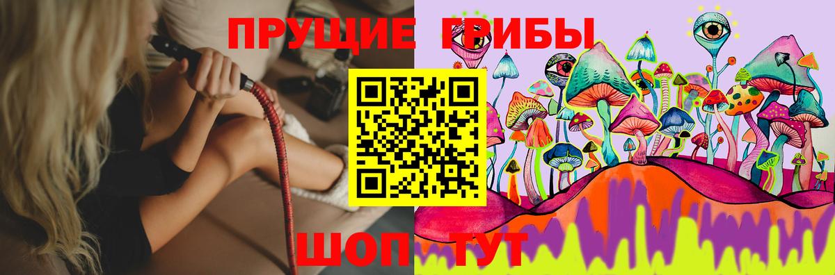 Псилоцибиновые грибы GOLDEN TEACHER  Псилоцибиновые грибы GOLDEN TEACHER  Дятьково  Вход с VPN 