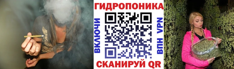 OMG ссылки  Дятьково  Бошки марихуана ГИДРОПОН  что такое наркотик 